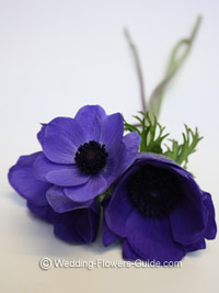 blue anemone flowers - ideal for a wedding bouquet